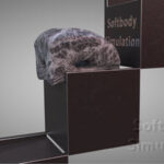 Softbody Simulation 5