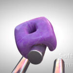 Softbody Simulation 12