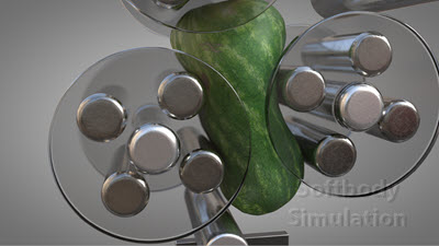 Softbody Simulation 33