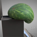 Softbody Simulation 33